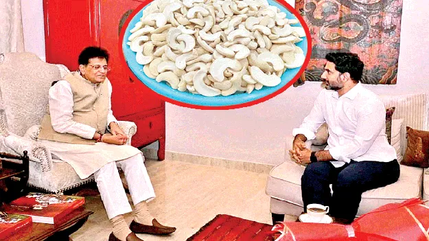 Cashew board : పలాసలో జీడిబోర్డు 