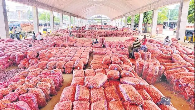 Onion Farmers Struggle: ఉల్లి.. అదే లొల్లి