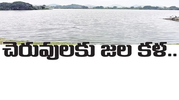 చెరువులకు జల కళ..