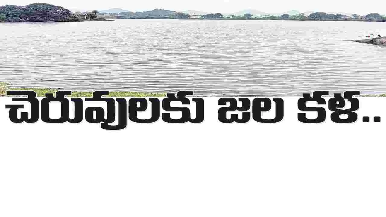 చెరువులకు జల కళ..