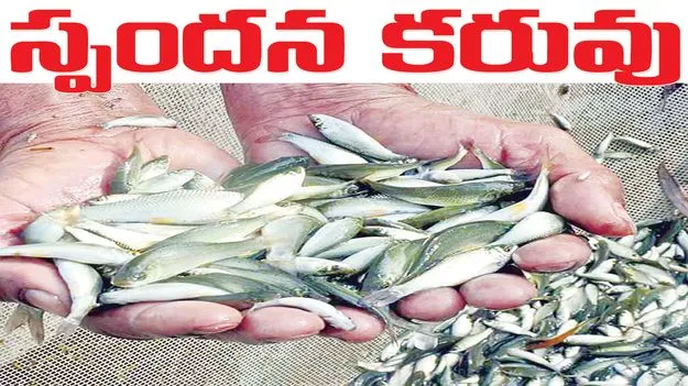 స్పందన కరువు