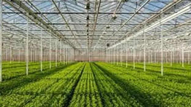 Promotes Horticulture with Subsidies: ఉద్యాన పంటల సాగుకు ప్రోత్సాహం