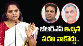 Kalvakuntla Kavitha: ఎవరైనా పార్టీ పెట్టుకోవచ్చు.. ఎమ్మెల్సీ కవిత సంచలన వ్యాఖ్యలు..