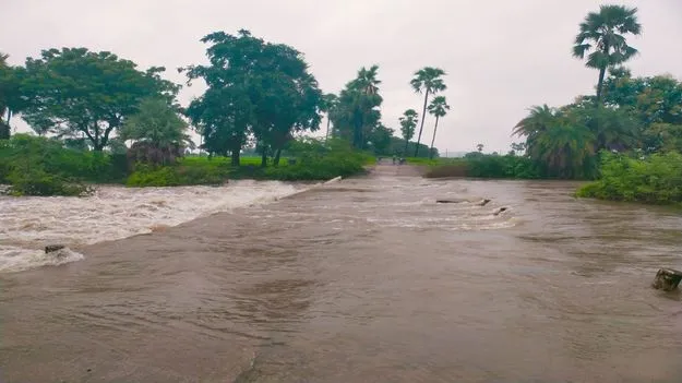 karimnagar :  ఉప్పొంగిన వాగులు, వంకలు