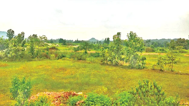   Useless!  అబ్బే.. అవి పనికిరావు!