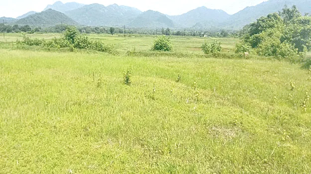   Industrialization?   ఏదీ పారిశ్రామికీకరణ?