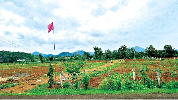   Real Scam   రియల్‌ దందా లెక్క తేలనుందా?