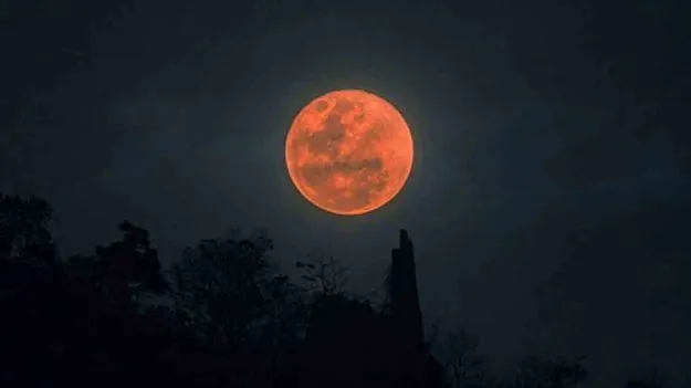 Lunar Eclipse September 2025: చంద్రగ్రహణం వేళ.. ఈ జాగ్రత్తలు పాటించండి..