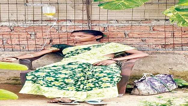 medical Care  సంతలో వైద్యం!