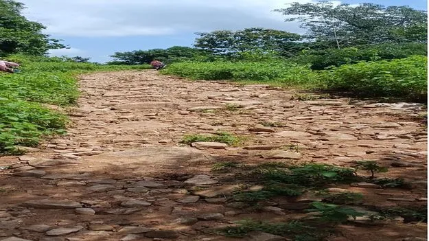 అటవీ గ్రామాలకు ఊరట