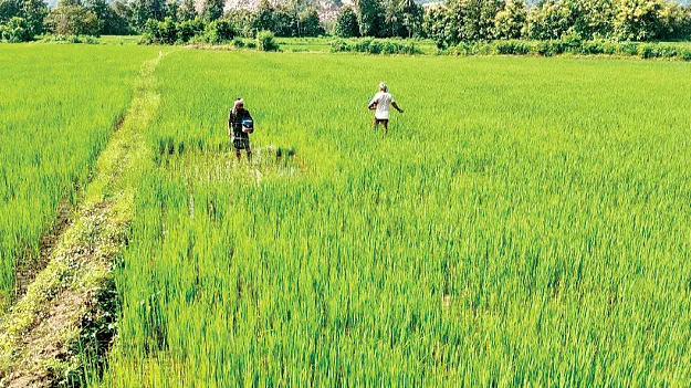 Nano fertilizer : నానో.. నోనో అనొద్దు!