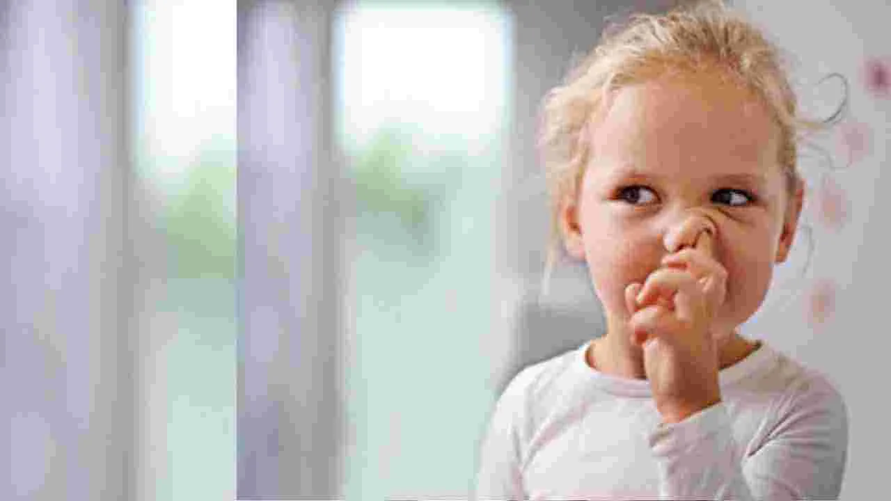 Nose Picking Habit: పదే పదే ముక్కులో వేలు పెట్టుకుంటే ఈ ఆరోగ్య సమస్యలు..?          