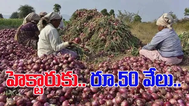 AP Government: హెక్టారుకు రూ.50 వేల సాయం