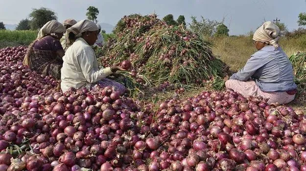 Kurnool onion MSP: ఉల్లి రైతులకు ఊరట.. రూ.10 కోట్లు మంజూరు..