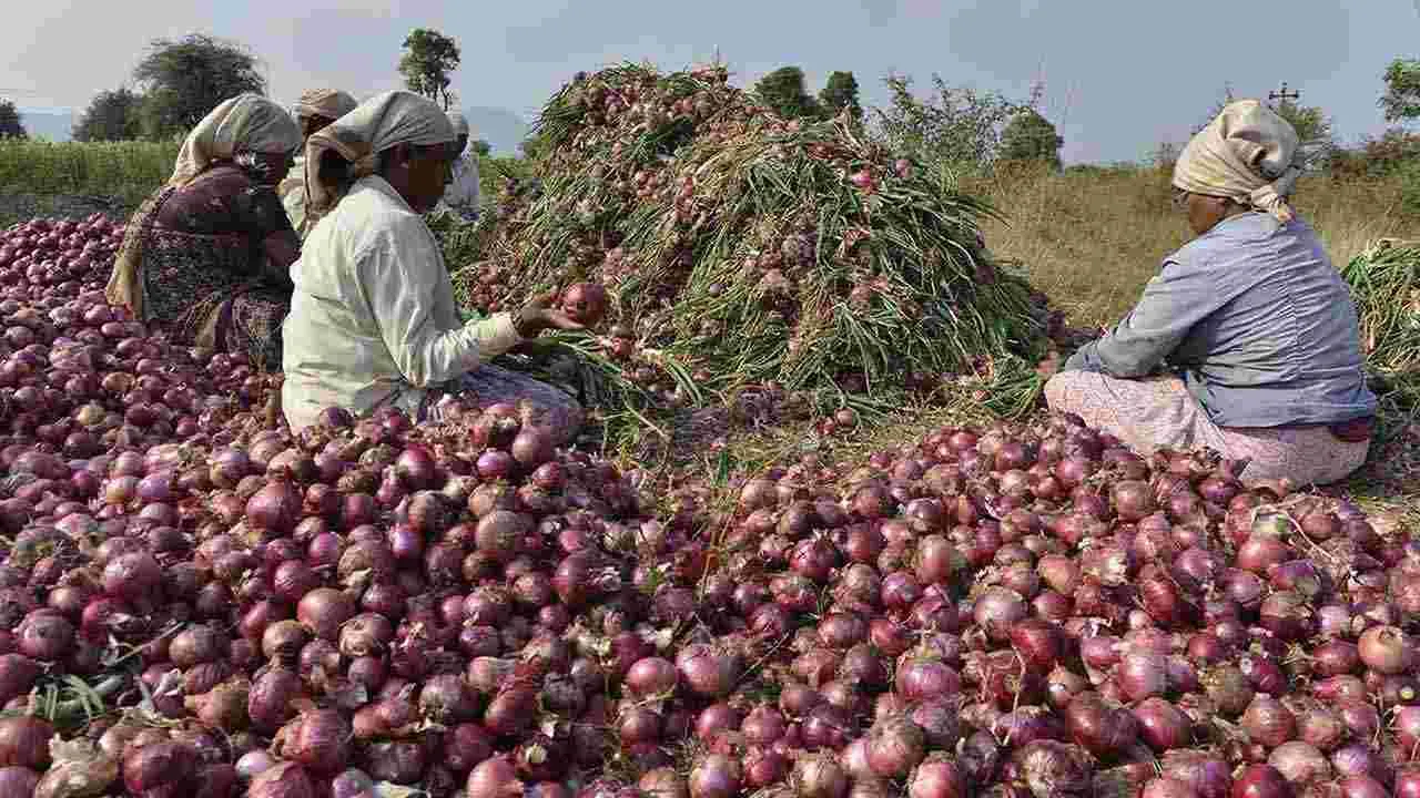 Kurnool onion MSP: ఉల్లి రైతులకు ఊరట.. రూ.10 కోట్లు మంజూరు..