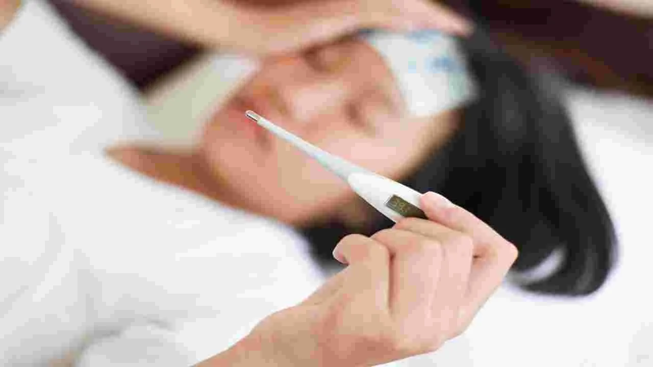 Viral Fever: విషజ్వరాలతో జనం విలవిల..