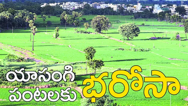  యాసంగి పంటలకు భరోసా..