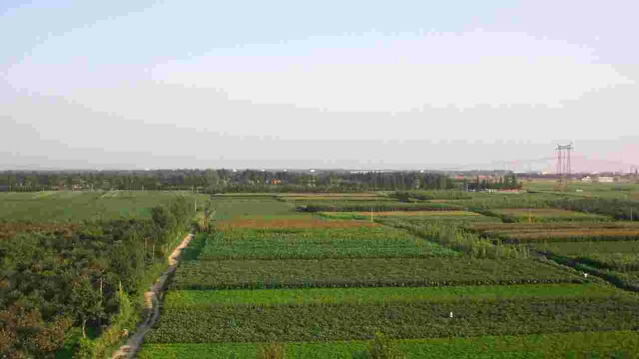 Sangareddy Pollution: రంగుమారిన పొలాలు.. ఆందోళనలో రైతులు