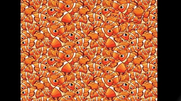 Optical Illusion Test: మీ కళ్లకు పవర్ ఉంటే.. ఈ చేపల మధ్యనున్న స్టార్‌ఫిష్‌ను 7 సెకెన్లలో కనిపెట్టండి..