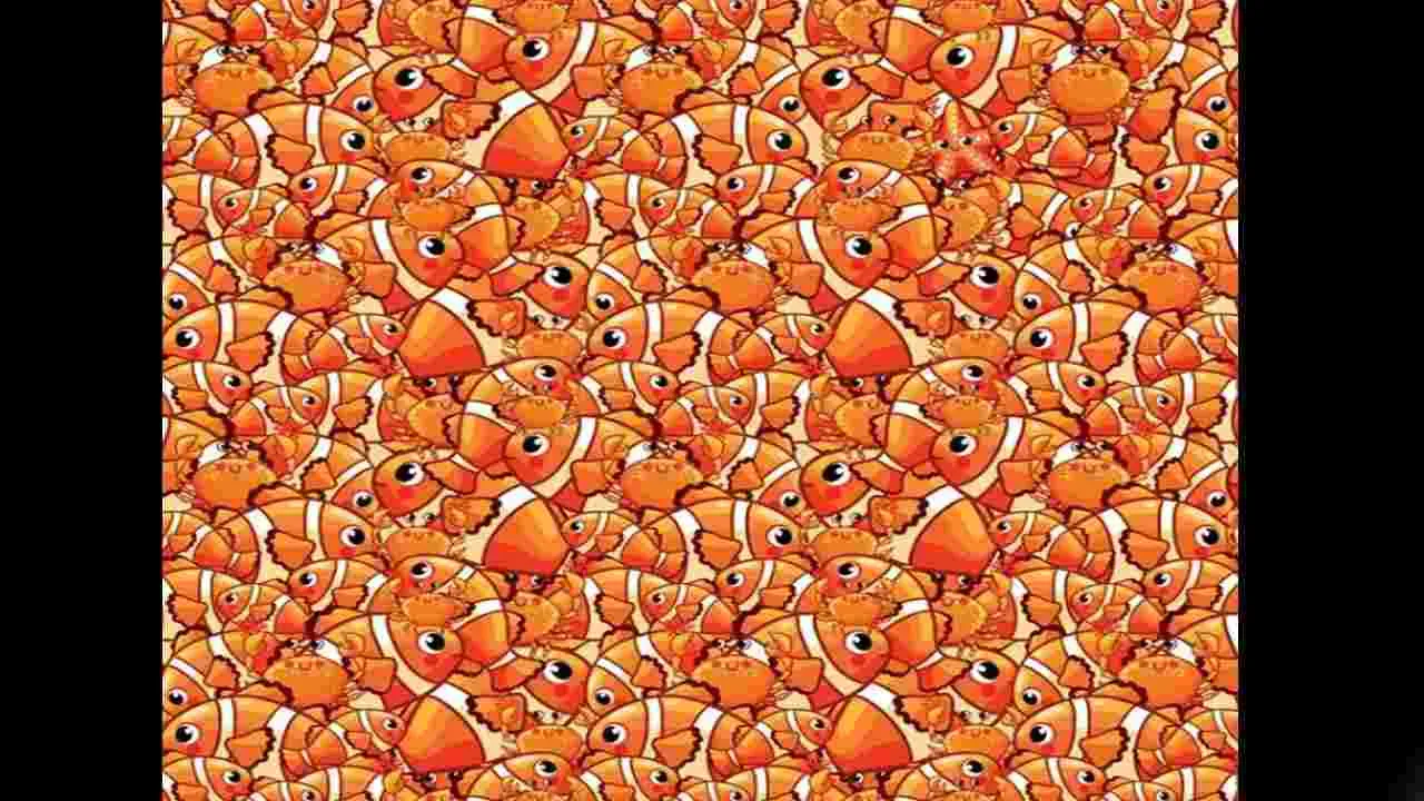 Optical Illusion Test: మీ కళ్లకు పవర్ ఉంటే.. ఈ చేపల మధ్యనున్న స్టార్‌ఫిష్‌ను 7 సెకెన్లలో కనిపెట్టండి..
