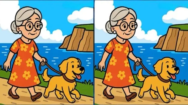 Picture Puzzle: మీరు జీనియస్ అయితే.. ఈ ఫొటోల్లోని మూడు తేడాలను 45 సెకెన్లలో కనిపెట్టండి