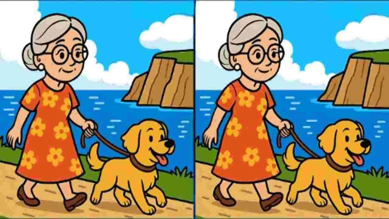 Picture Puzzle: మీరు జీనియస్ అయితే.. ఈ ఫొటోల్లోని మూడు తేడాలను 45 సెకెన్లలో కనిపెట్టండి