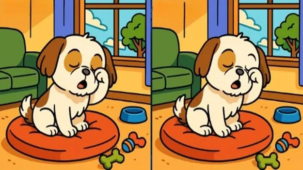 Picture Puzzle: మీ ఐక్యూకు టెస్ట్.. ఈ ఫొటోల్లోని మూడు తేడాలను 40 సెకెన్లలో కనిపెట్టండి