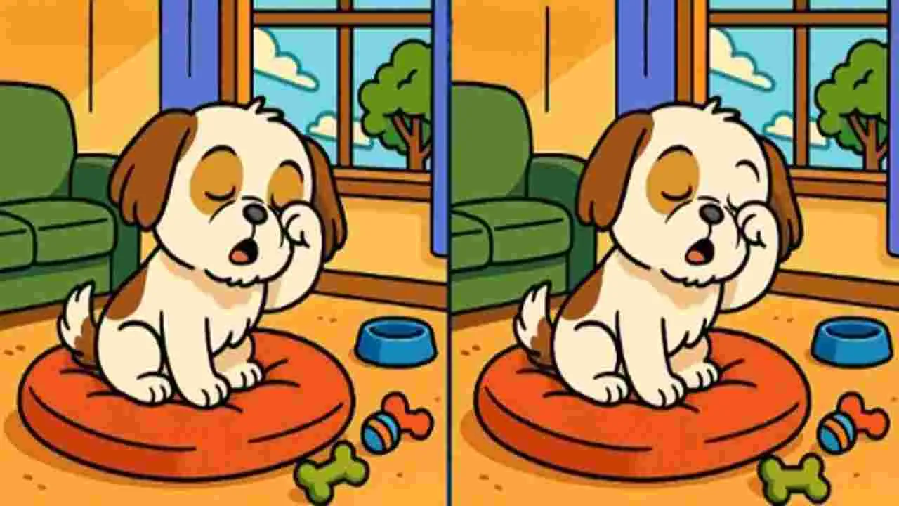 Picture Puzzle: మీ ఐక్యూకు టెస్ట్.. ఈ ఫొటోల్లోని మూడు తేడాలను 40 సెకెన్లలో కనిపెట్టండి