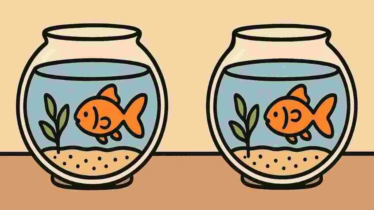 Picture Puzzle: మీ చూపు పదునైనదైతే.. ఈ ఫొటోల మధ్యలో మూడు తేడాలను 17 సెకెన్లలో కనిపెట్టండి