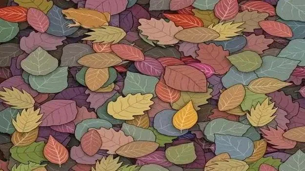 Optical Illusion Test: మీ కళ్లకు సూపర్ టెస్ట్.. ఈ ఆకుల మధ్యలో కప్ప ఎక్కడుందో 6 సెకెన్లలో కనిపెట్టండి..