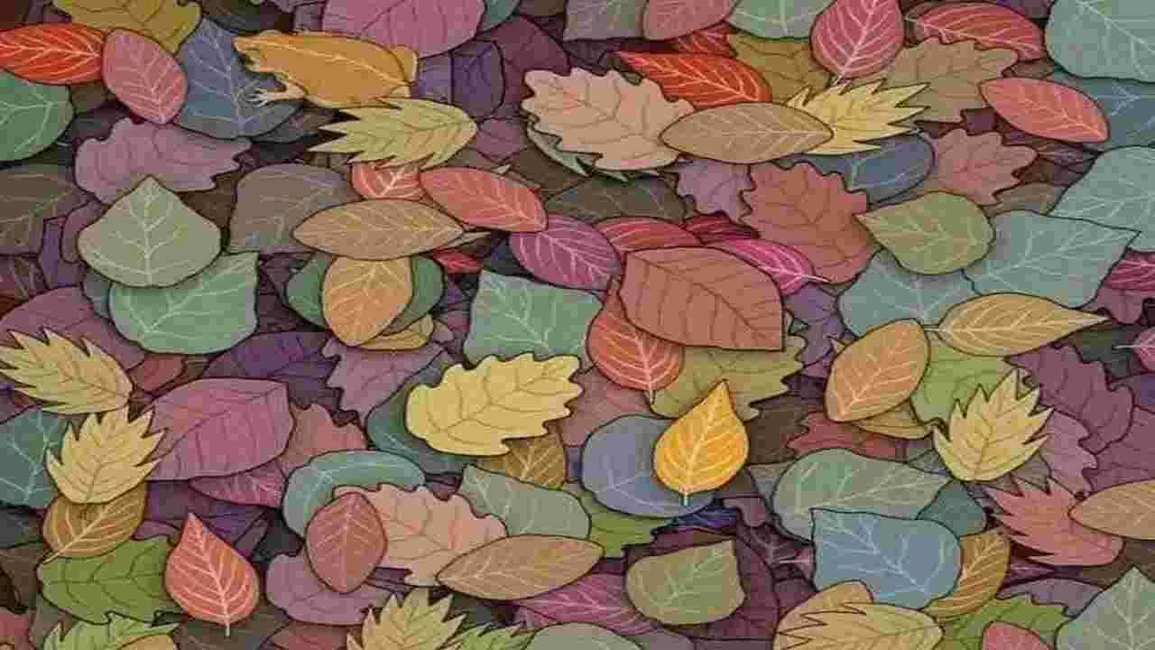 Optical Illusion Test: మీ కళ్లకు సూపర్ టెస్ట్.. ఈ ఆకుల మధ్యలో కప్ప ఎక్కడుందో 6 సెకెన్లలో కనిపెట్టండి..