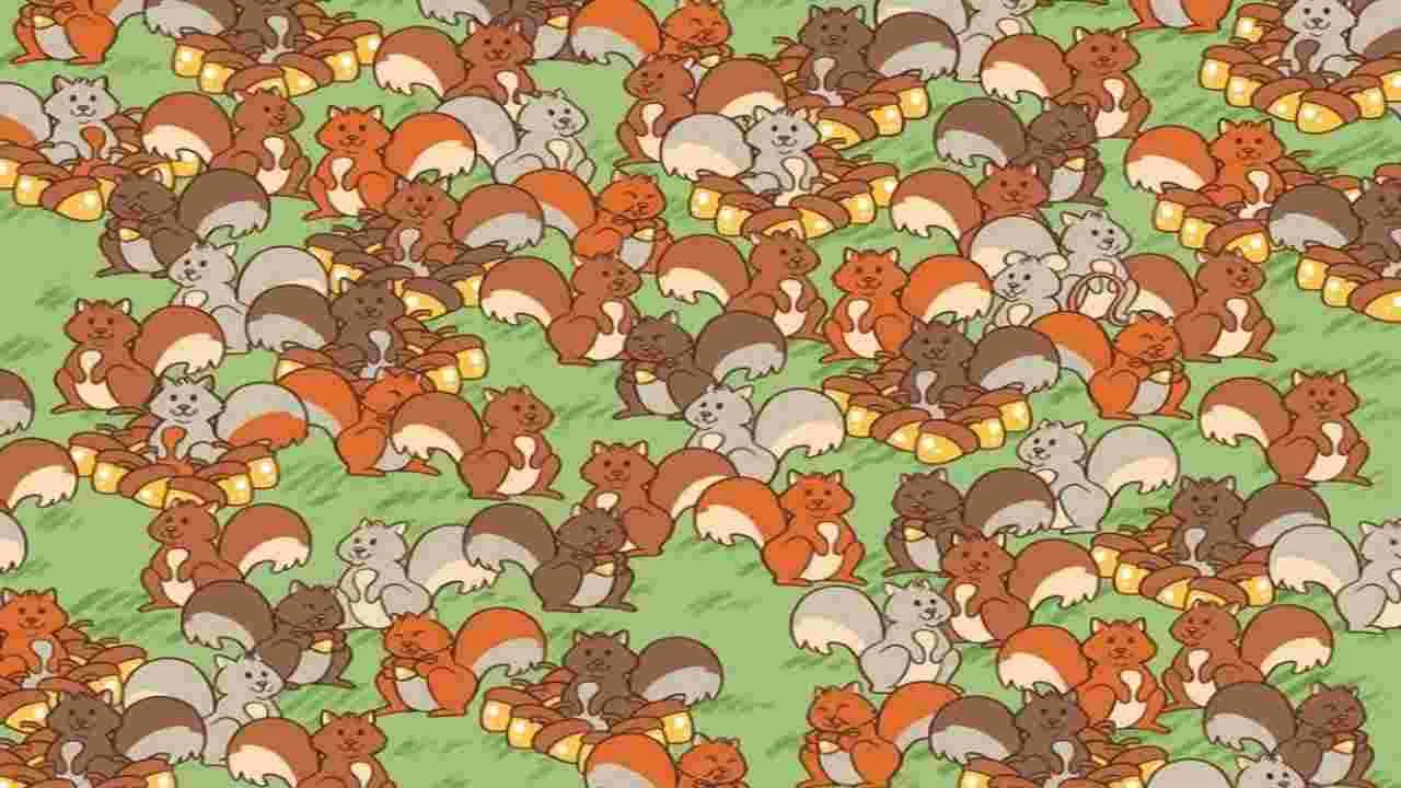 Optical Illusion Test: మీది హెచ్‌డీ చూపు అయితే.. ఈ ఉడుతల మధ్యలో ఎలుకను 5 సెకెన్లలో కనిపెట్టండి..