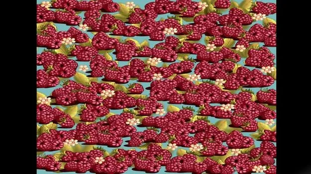 Optical Illusion Test: మీ కళ్లకు సూపర్ టెస్ట్.. ఈ ఫొటోలో స్ట్రాబెర్రీ ఎక్కడుందో 12 సెకెన్లలో కనిపెట్టండి..