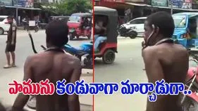 Snake Funny Video: వీడెవడండీ బాబూ.. పామును మెడలో దండలా వేసుకుని మరీ..
