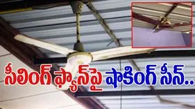 Snakes Viral Video: పైన చూడకుండా ఫ్యాన్ ఆన్ చేస్తున్నారా.. ఈ వీడియో చూస్తే.. 