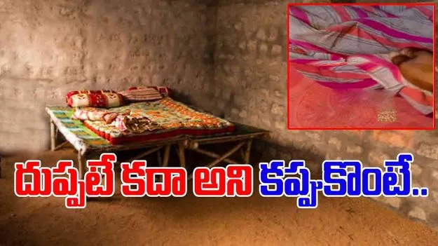 Watch Viral Video: పడుకుందామని వెళ్లాడు.. చివరకు దుప్పటి లోపల చూసి ఖంగుతిన్నాడు..