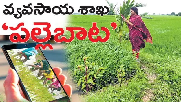 వ్యవసాయ శాఖ ‘పల్లెబాట’