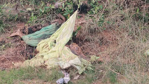 అయ్యో.. ఎంత బాధొచ్చిందో!