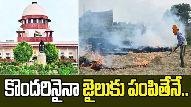 Supreme Court On Stubble Burning: కొందరిని జైలుకు పంపితేనే... పంట వ్యర్ధాల దహనంపై సుప్రీం కీలక వ్యాఖ్యలు