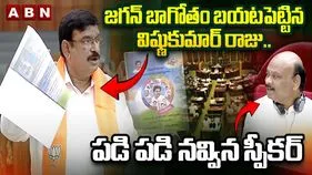 TIDCO Housing Issue: టిడ్కో ఇళ్లపై ఎమ్మెల్యేల క్వశ్చన్.. మంత్రి సమాధానం
