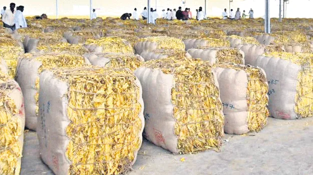 పొగాకు కిలో రూ.321