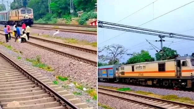 Goats hit by train: కళ్ల ముందే దారుణం.. వేగంగా వస్తున్న రైలు కింద మేకలు ఎలా నలిగిపోయాయో చూడండి.. 