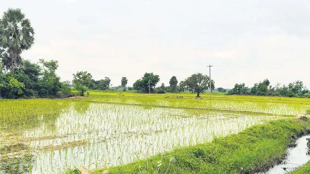 యూనివర్సిటీ ఏర్పాటుకు త్వరలో నోటిఫికేషన