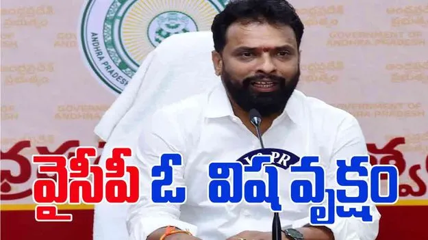 Minister Vasamsetti Subhash: ప్రజలను తప్పుదారి పట్టిస్తున్నారు.. 