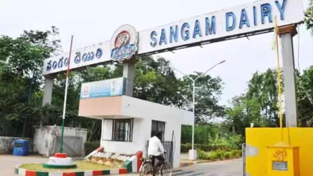 Sangam Dairy: సంగం టర్నోవర్‌ లక్ష్యం రూ 2300 కోట్లు