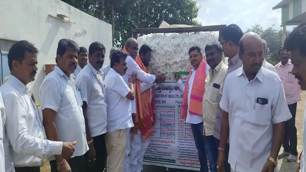 జిల్లాలో 48 వేల ఎకరాల్లో పత్తి సాగు 