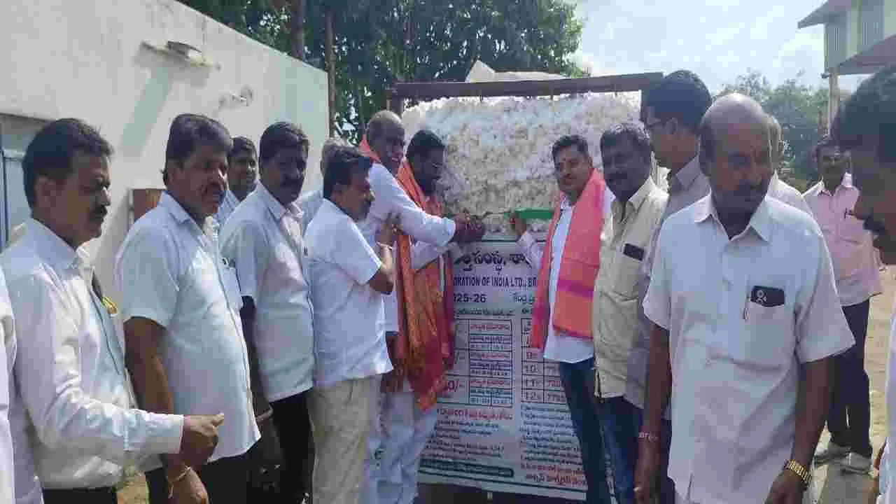 జిల్లాలో 48 వేల ఎకరాల్లో పత్తి సాగు 