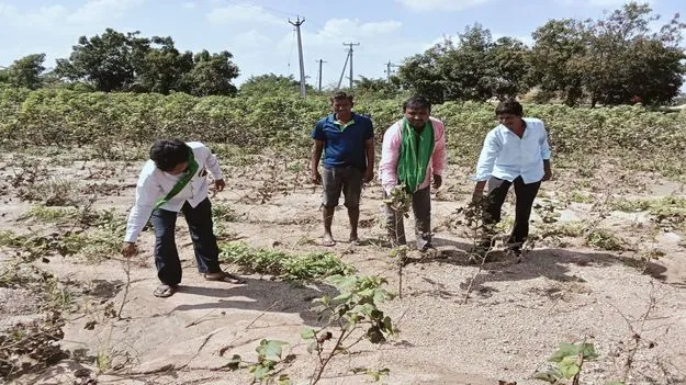 తుఫాన్‌  వల్ల నష్టపోయిన పత్తి రైతులను ప్రభుత్వం ఆదుకోవాలి