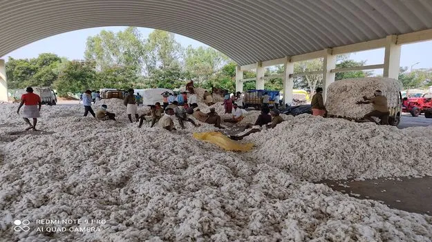 పత్తికి మద్దతు ధర దక్కేనా..?