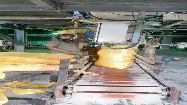 ఆర్‌ఎఫ్‌సీఎల్‌ నుంచి యూరియా రవాణా ప్రారంభం